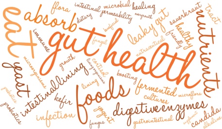 Gut Health Word Cloud On a White Background.